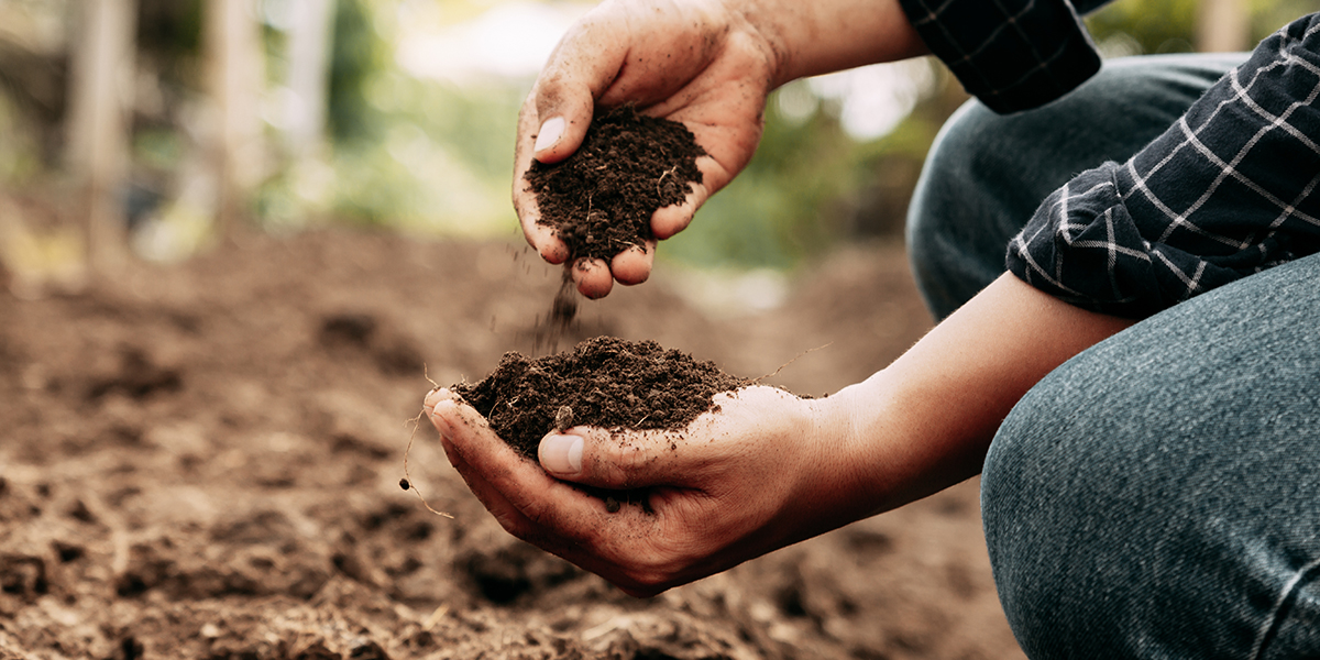 “Stato e prospettive del Biochar”: convegno sulla sostenibilità in agricoltura